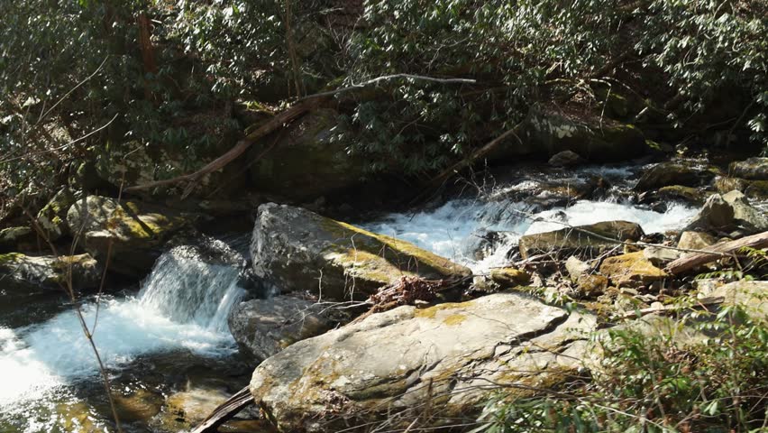 footage of the rushing waters of Smith Creek with rocks and lush green trees and plants at Anna Ruby Falls in Helen Georgia USA