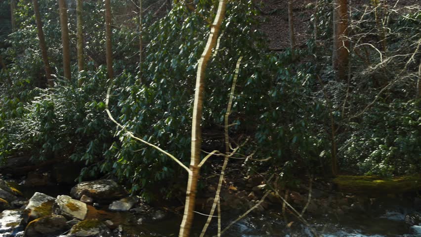 footage of the rushing waters of Smith Creek with rocks and lush green trees and plants at Anna Ruby Falls in Helen Georgia USA