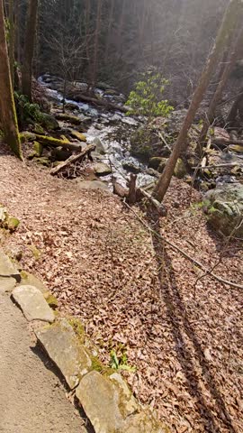panning footage of the rushing waters of Smith Creek with rocks and lush green trees and plants at Anna Ruby Falls in Helen Georgia USA