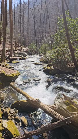 footage of the rushing waters of Smith Creek with rocks and lush green trees and plants at Anna Ruby Falls in Helen Georgia USA