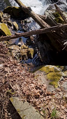 tilt footage of the rushing waters of Smith Creek with rocks and lush green trees and plants at Anna Ruby Falls in Helen Georgia USA