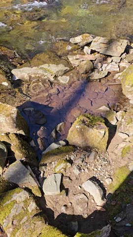 tilt footage of the rushing waters of Smith Creek and waterfall at Anna Ruby Falls with rocks and lush green trees and plants in Helen Georgia USA
