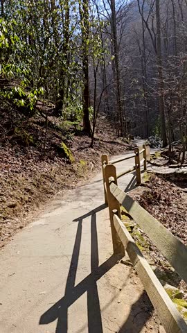footage on a footpath along the rushing waters of Smith Creek with rocks and lush green trees and plants at Anna Ruby Falls in Helen Georgia USA