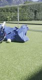 Vertical video of sports bag, tennis racket and ball on tennis court in garden on sunny day. Sport, health and activity.