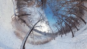 Embark on a captivating journey through a serene winter forest in this 360-degree virtual reality video. The immersive footage transports you to the heart of a snow-covered woodland, where youll