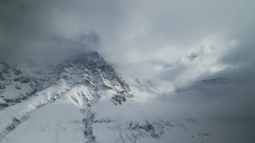 Pine trees draped in snow merge with the misty backdrop.