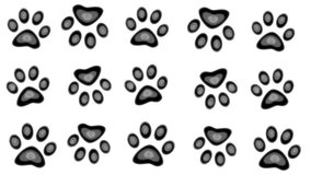 Walking Dog paw prints are black on white. Footprints of an animal predator. - Powered by Shutterstock - Get 15% off with code: PIKWIZARD15