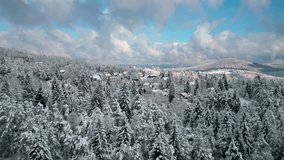 Snow covered village cabins in mountains coniferous forest aerial view. Flying above rural town houses in wild nature winter landscape at daytime - Powered by Shutterstock - Get 15% off with code: PIKWIZARD15