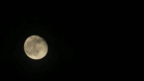 Moon night branch scary full blue tree horror sky evening - Powered by Shutterstock - Get 15% off with code: PIKWIZARD15
