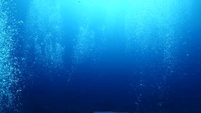 air bubbles slow  underwater coming up scenery dark blue and sun shine ocean scenery from scuba  divers backgrounds - Powered by Shutterstock - Get 15% off with code: PIKWIZARD15