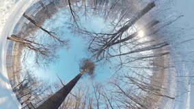 Embark on a captivating journey through a serene winter forest in this 360-degree video. The immersive footage takes you down a snow-covered path, surrounded by towering trees adorned with a thick