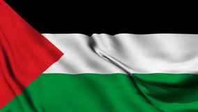 Palestine Flag animation. Flag waving footage. Footage video waving in wind.