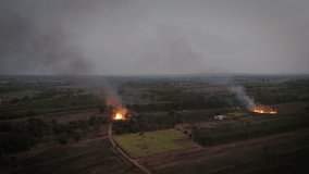 Aerial view scenic landscape of Forest fires are burning the dry season grasslands. Burning sugar cane