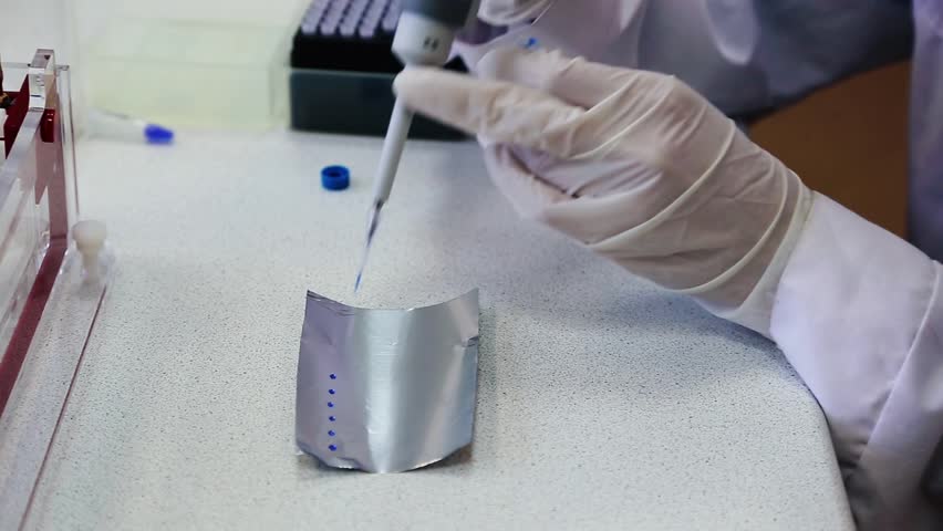Scientist puts samples of DNA fragments on foil for electrophoresis by pipette Royalty-Free Stock Footage #3456476449