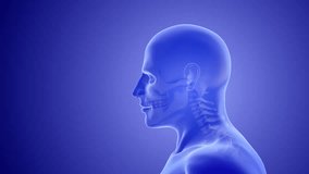 Whiplash mechanism in cervical spine or neck injuries - Powered by Shutterstock - Get 15% off with code: PIKWIZARD15