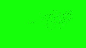 A flock of black birds flying freely chaotical, a group of pigeons chroma key green screen. Silhouettes of Migrating Birds in motion far in the sky. Sparrows or Swallows. For compositing VFX - Powered by Shutterstock - Get 15% off with code: PIKWIZARD15