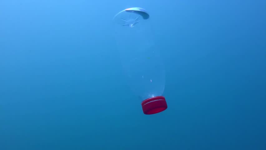 Plastic pollutio: PVC bottle slowly sinks to the bottom covered with algae, blue background.