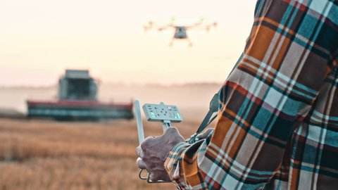 Farmer control agriculture drone fly to sprayed fertilizer on the wheat field 스톡 비디오