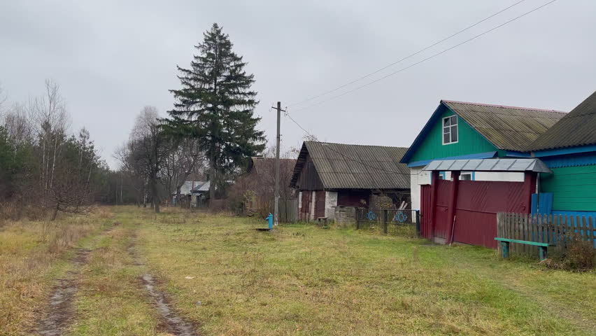 Wooden houses with iron gates, tall spruce and an old dirt road in forest. Last street of village on edge of forest