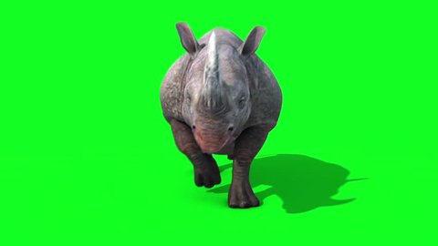 Rhinoceros Runcycle Front Green Screen Loop 3D Renderings Animations Animals