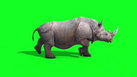 Rhinoceros Runcycle Side Green Screen Loop 3D Renderings Animations Animals