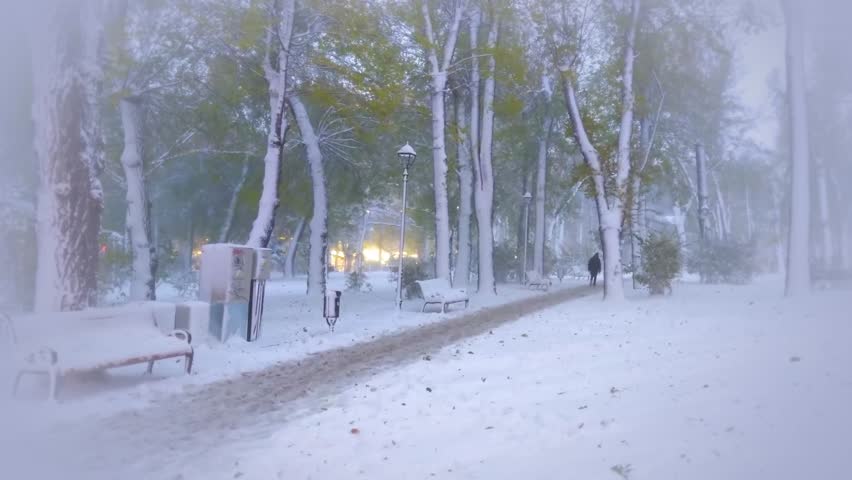 winter patk with falling snow, View of bench and trees through snowing. Blue tone.