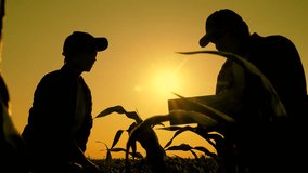 Handshake of business partners in farmers field, silhouette. Owner farm enters into contract handshake. Farmers in working with, shaking hands. Agricultural business. Teamwork in agribusiness. Sun sky - Powered by Shutterstock - Get 15% off with code: PIKWIZARD15