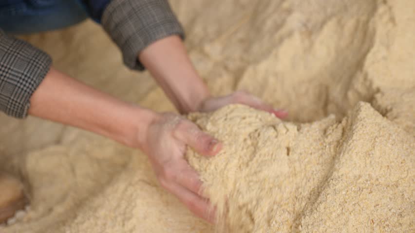 Farmer holds handful of cornmeal in his hands - feed for cows and other animals on the farm. High quality 4k footage