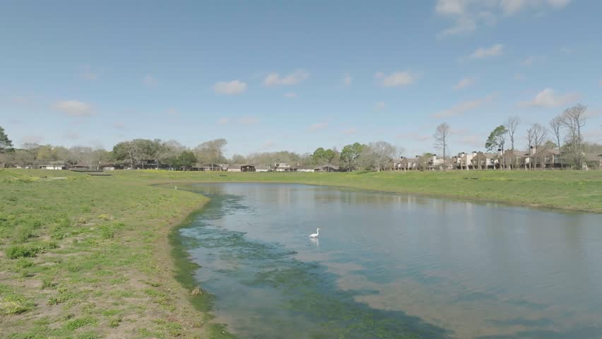 An aerial drone video clip of a great egret taking flight and landing at Exploration Green in Clear Lake, Houston, Texas.