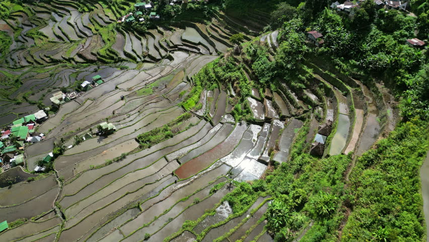 Aerial view of picturesque Batad Rice Terraces with sun reflection in Ifugao Province, Luzon Island, Philippines, 4k