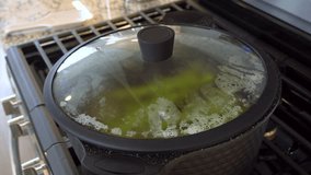 In a modern white kitchen, large organic asparagus is being steamed in a sizable cooking pot. - Powered by Shutterstock - Get 15% off with code: PIKWIZARD15