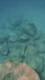 Vertical video, Boulders of stones lie on a sandy bottom in sunlight, Top view. Natural underwater landscape, Mediterranean Sea, Rhodes, Greece