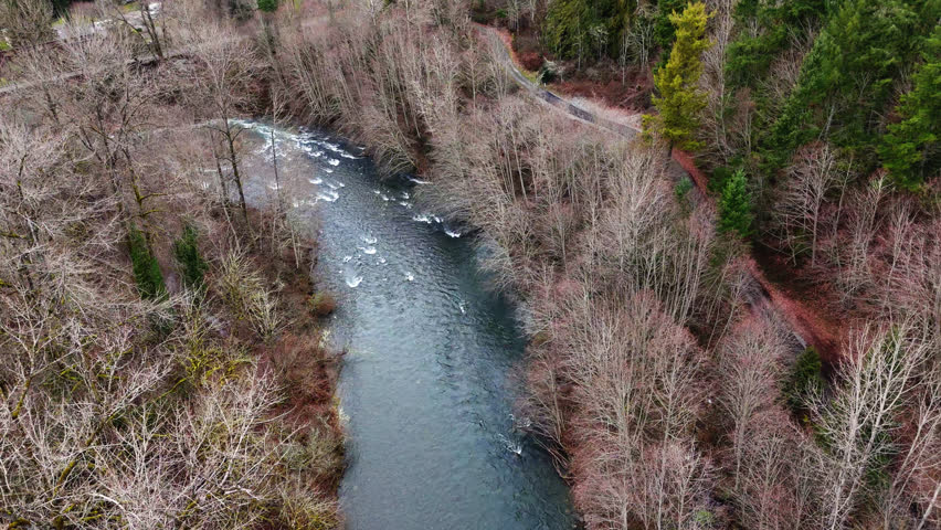 Pacific Northwest smooth backwards shot of flowing Cedar River in Washington state.