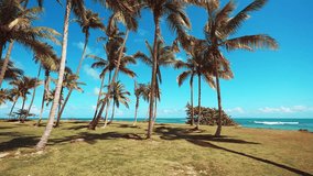 Hawaiian beach with white sand and palms. Turquoise ocean water and blue sky with clouds on sunny day. Wide panoramic concept background. Amazing landscape of a paradise island. Video tinted