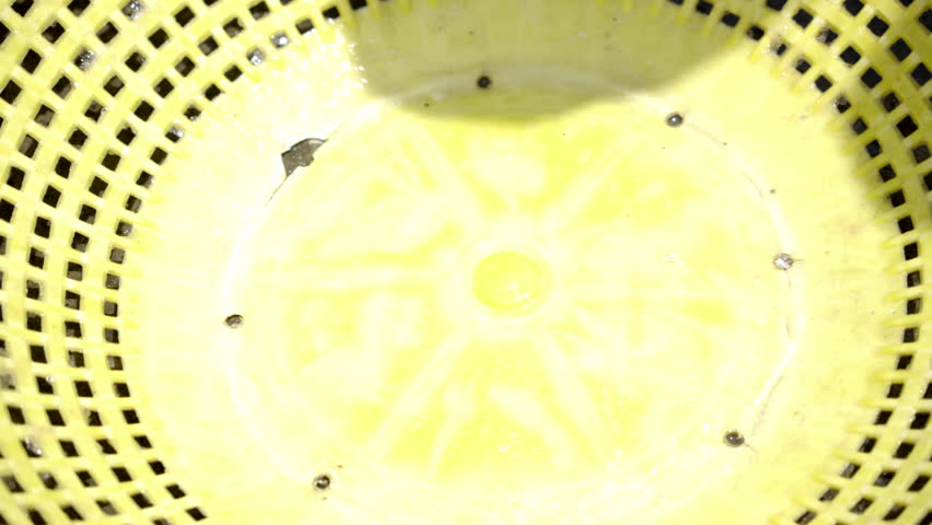 Fresh Anchovy fish shuffling in Fish harbour