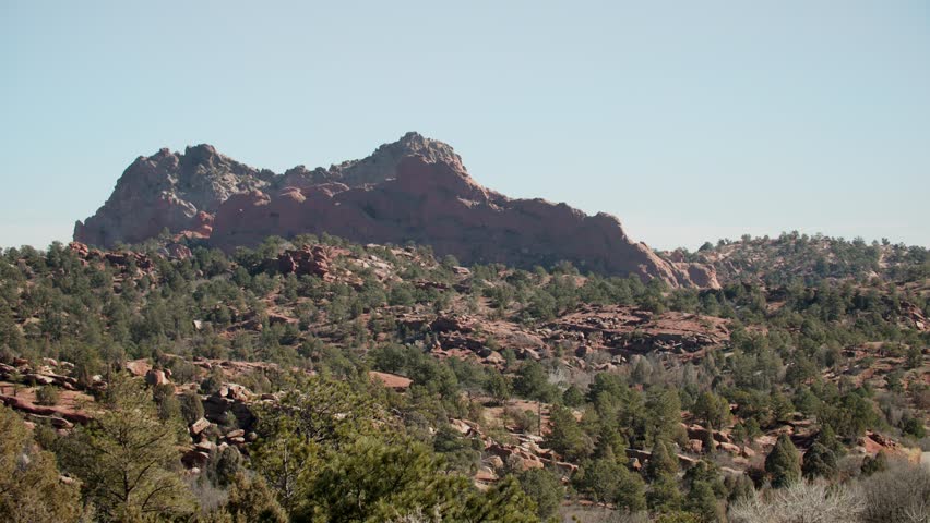 Sunny day at Garden of the Gods with clear blue sky, red rock formations, and green foliage