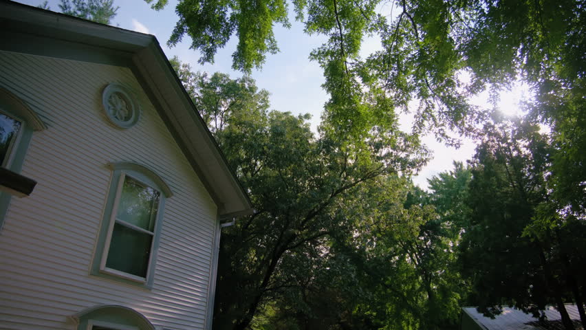 Sun Shining Through Huge Tree In The Front Yard. Wide shot