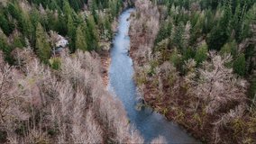Pacific Northwest Bird's eye aerial view of calm flowing Cedar River in forest in Washington State