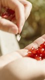 The young woman cleans pomegranate seeds and eats them from the palm of her hand. on the background of the sea, close-up Vertical video Social Media