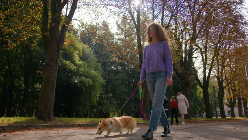 Caucasian female girl woman handler pet owner walking with little cute dog on leash lady going strolling on street welsh corgi puppy pup domestic animal daily walk autumn city park holiday outdoors Royalty-Free Stock Footage #3457616319