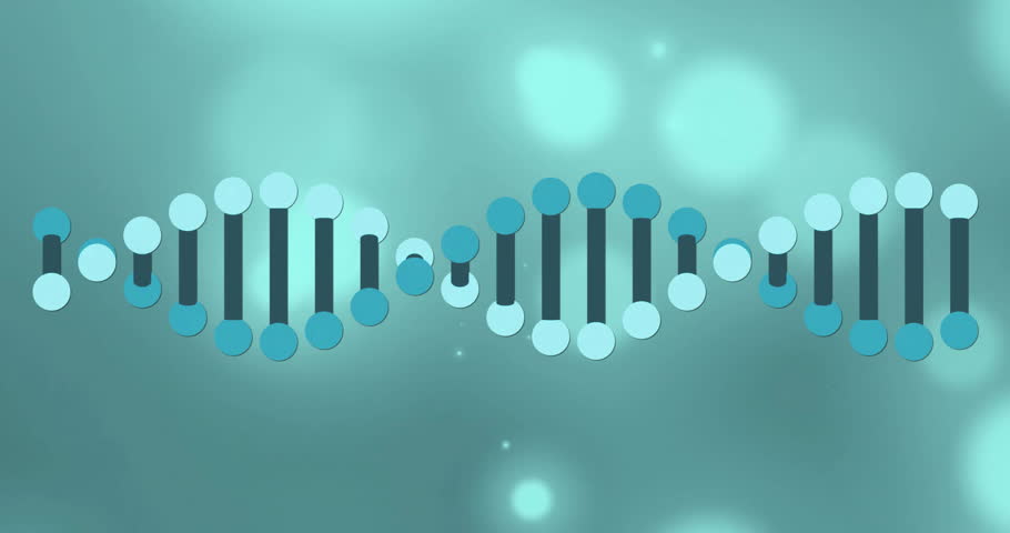 Animation of dna strand and light spots on black background. Social media and pattern concept digitally generated video.