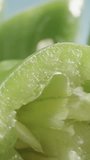 Sliced green pepper, against a blue sky background. Dolly slider extreme close-up. Vertical video Social Media