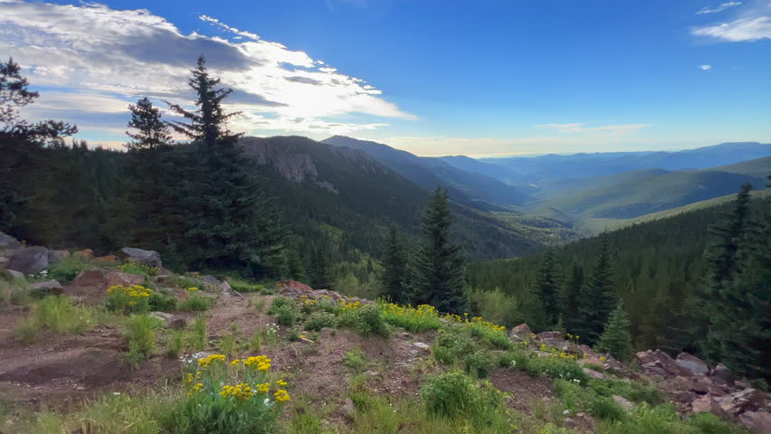 Summer sunny morning wildflowers Echo Mountain clear Creek county Idaho Springs Evergreen Mount Blue Sky Evans fourteener roadside drive adventure Rocky Mountains Continental Divide pan right