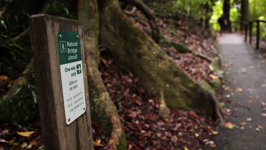 Person walking towards the camera past signage on the walking trail, Natural Bridge, Springbrook National Park.
