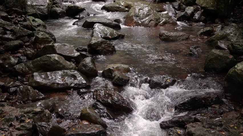 Close view of Cave Creek from the walking trail, Natural Bridge, Springbrook National Park.