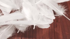 Falling Pure White Feathers from Above - Powered by Shutterstock - Get 15% off with code: PIKWIZARD15