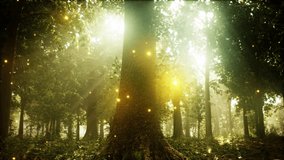 A Forest Filled With Lots of Trees and Lights - Powered by Shutterstock - Get 15% off with code: PIKWIZARD15