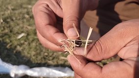 A boy is kneading wooden straws with his fingers. Beautiful Slow motion 4K Video Clip.