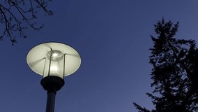 Electric lantern in the park at night. Lighting lamppost at dusk. - Powered by Shutterstock - Get 15% off with code: PIKWIZARD15