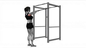 woman band face pull fitness exercise workout animation.